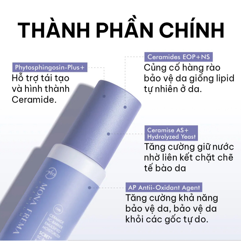 vn-11134201-81ztc-mmlif4heppmpe9