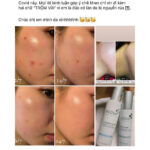 vn-11134201-81ztc-mmll4vdu9n9dcb
