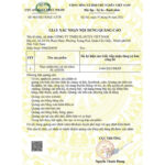 vn-11134207-7ras8-mal749817zpo80