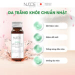 vn-11134207-81ztc-mnom07dakzr73a
