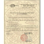 vn-11134207-81ztc-mnom07ffvmrp9a
